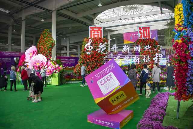 新黄河记者梳理花博会五大看点，快来商河赴一场秋日狂欢吧