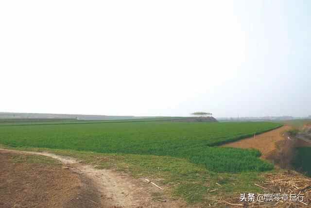 济南章丘这个小山村，不仅有龙山文化时期的遗址，还有敕命碑祠堂
