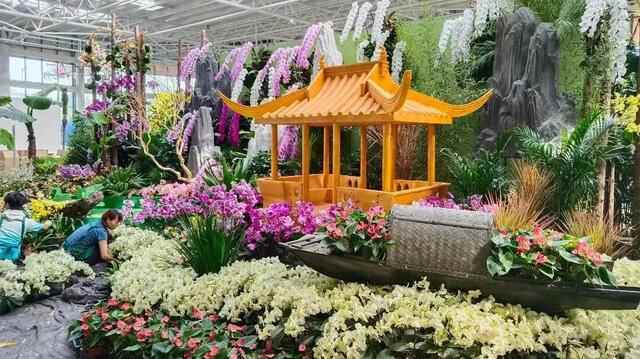 又是一年花博会！9月28日，来商河赴一场花的邂逅
