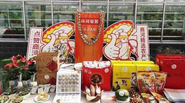 又是一年花博会！9月28日，来商河赴一场花的邂逅