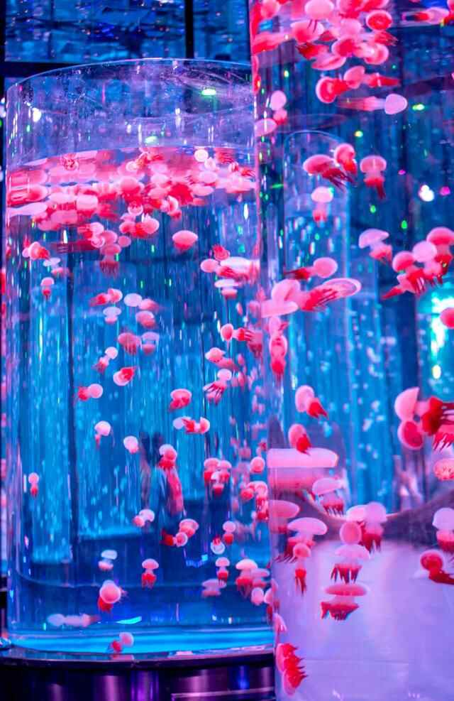 十一去哪嗨？好玩不淋雨，济南这几处室内游玩地点这个假期必须拿捏！