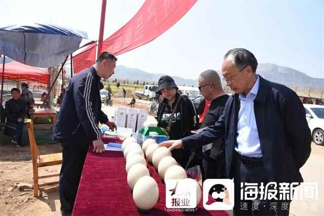 长清区2023济南（双泉）第十一届春季赏花节暨油菜花旅游文化节开幕