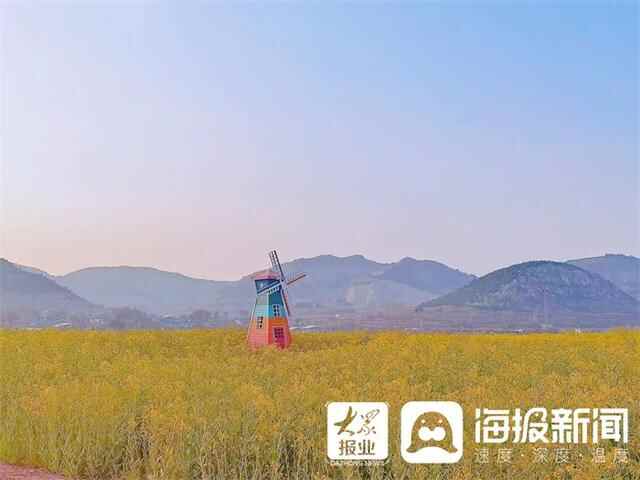 长清区2023济南（双泉）第十一届春季赏花节暨油菜花旅游文化节开幕
