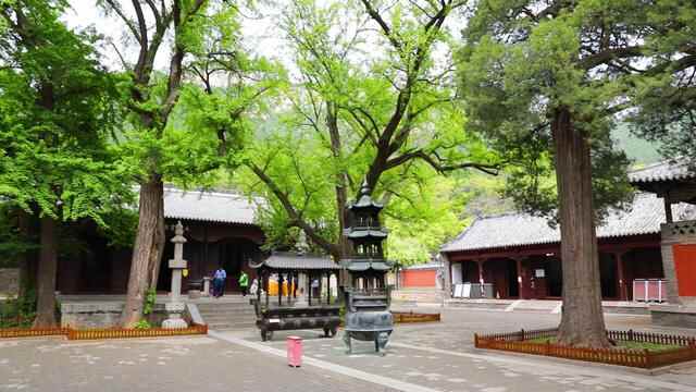 醉美长清｜登高望远听泉水潺潺，长清东线旅游攻略来啦
