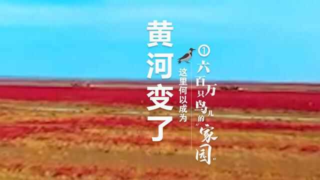 4次提济南，9次提黄河三角洲！这份国家级规划纲要，将给山东带来哪些机遇？