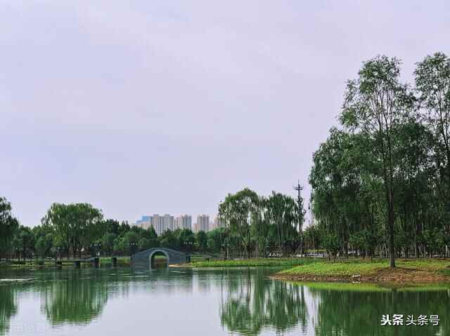 德州散记24商河篇旧路新走，每一步都是新的