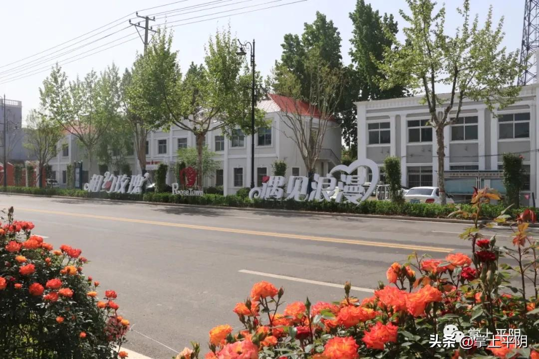 平阴“红色旅游”受热捧，成为全域旅游高质量发展的“加油站”