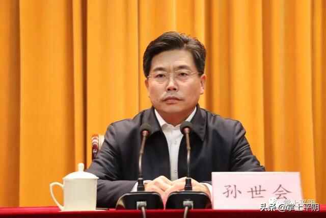 平阴召开庆祝大会，致敬城市美容师