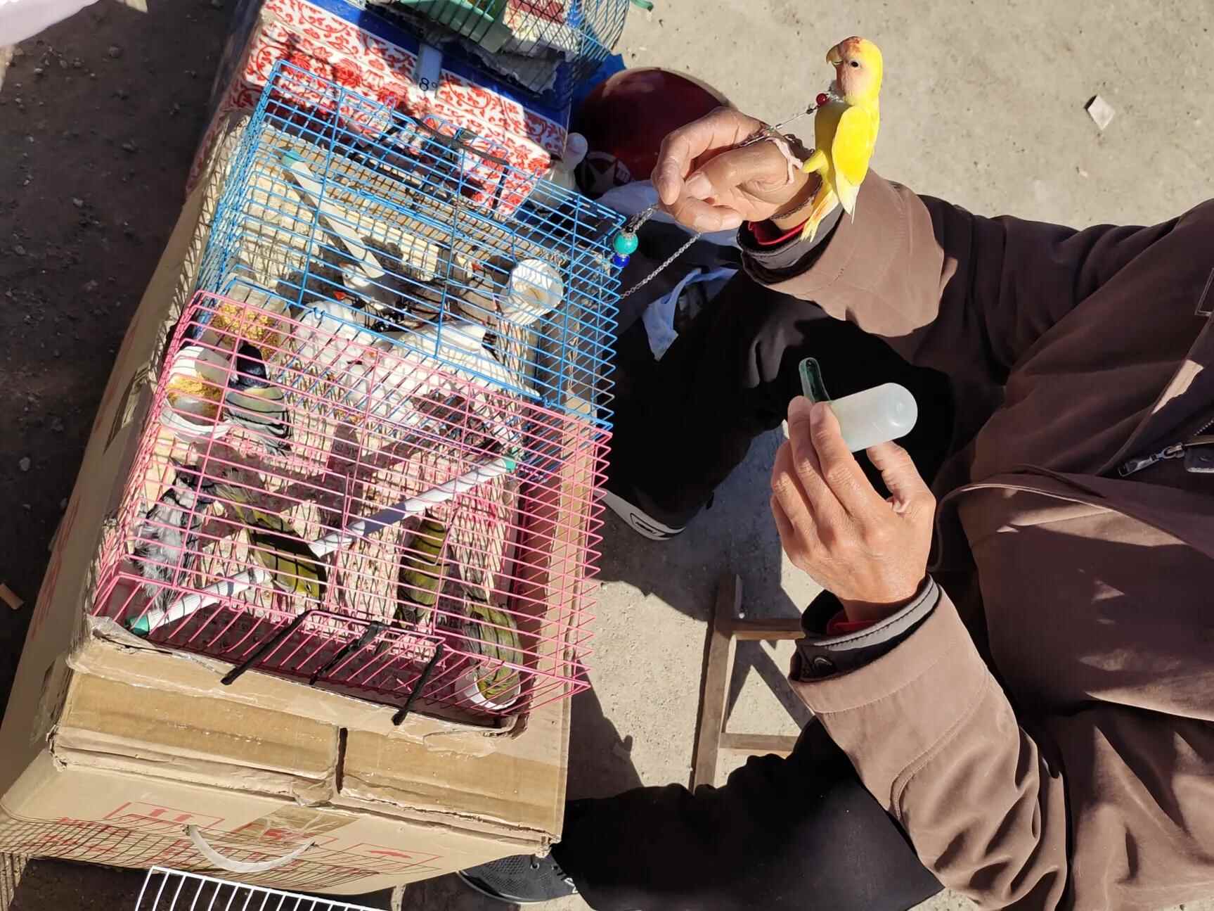 让我们一起来看看济南历城区最大的集是什么样的？