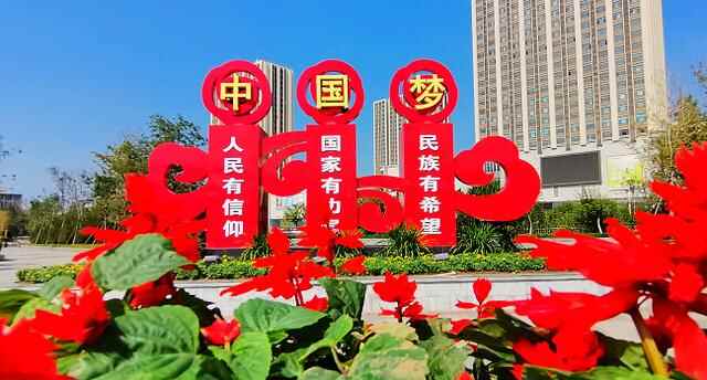 山东平阴：文明花开香满园 同心掬得满庭芳
