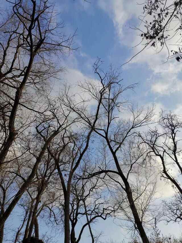 职场｜济南十年