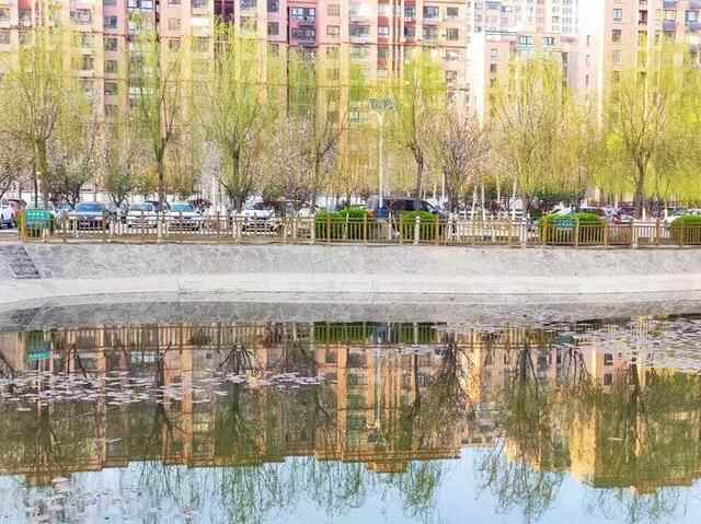 济阳一隅之春