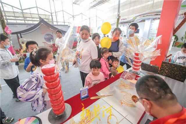 花博会第四日：现代科技让鲜花更美丽 美食美景为花博增添魅