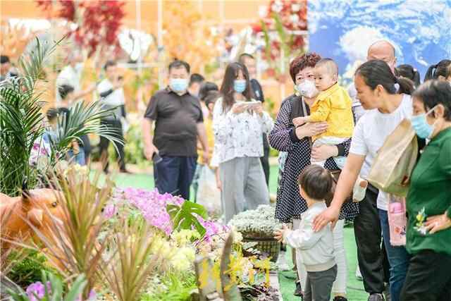 花博会第四日：现代科技让鲜花更美丽 美食美景为花博增添魅