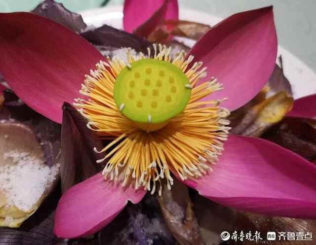 荷花美食吃过吗？章丘白云湖畔各种荷香食品迷人