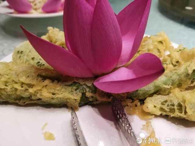 荷花美食吃过吗？章丘白云湖畔各种荷香食品迷人