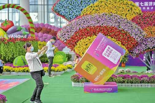 快来花博会打卡，吃喝玩乐逛起来