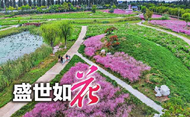 快来花博会打卡，吃喝玩乐逛起来