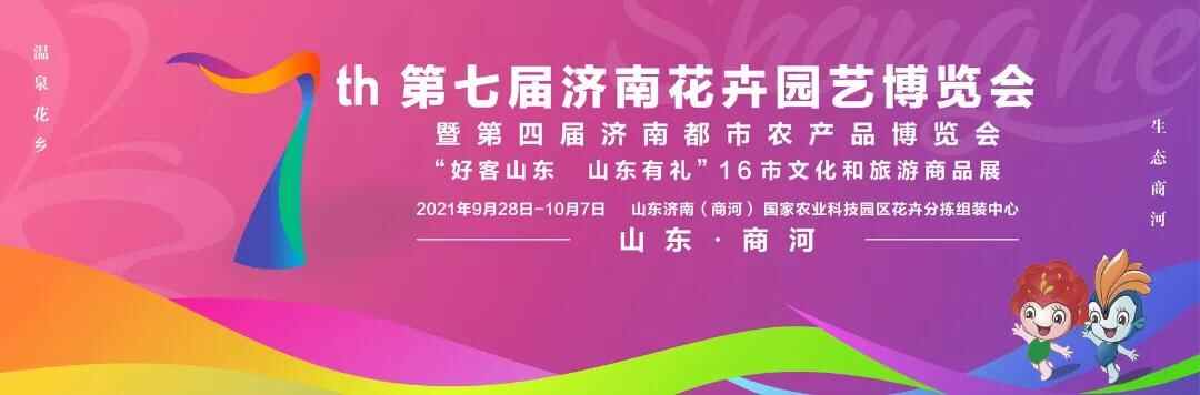 逛吃逛吃！快来Get济南商河花博会“正确打开方式”！