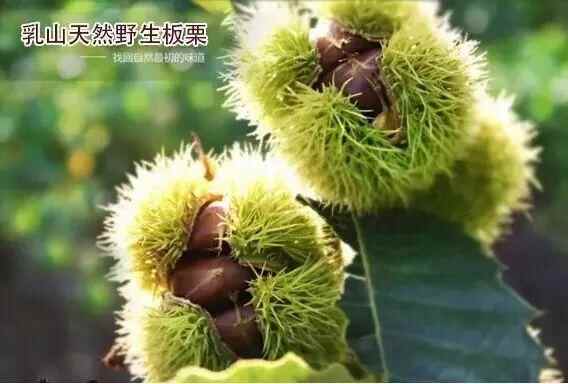 乳山2个村镇入选全国名单！乳山的老味道全在这里……