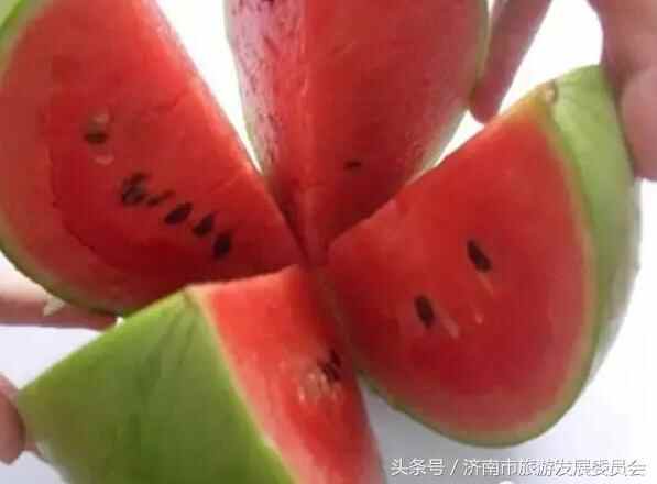 实用！到济南商河旅游吃啥？买啥？玩啥？这是最新版参考答案！