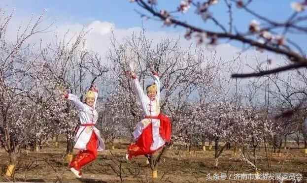 实用！到济南商河旅游吃啥？买啥？玩啥？这是最新版参考答案！