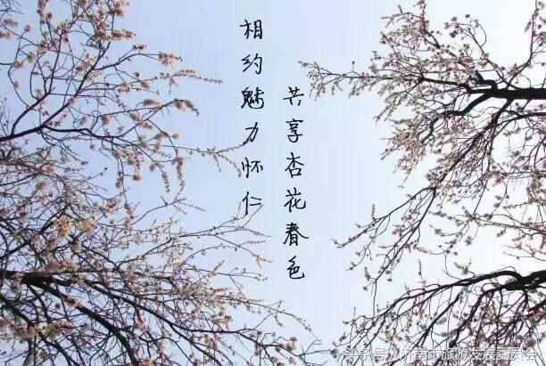 实用！到济南商河旅游吃啥？买啥？玩啥？这是最新版参考答案！