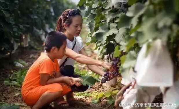实用！到济南商河旅游吃啥？买啥？玩啥？这是最新版参考答案！