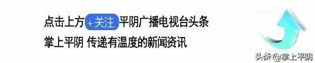 融媒推介 平阴好物 | 6月，一口好心情！“杏”福等你来