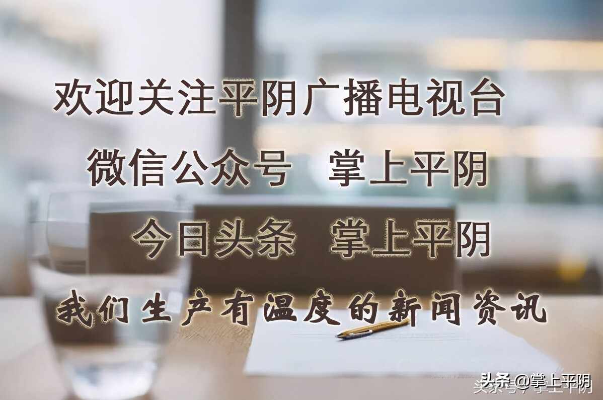 融媒推介 平阴好物 | 6月，一口好心情！“杏”福等你来
