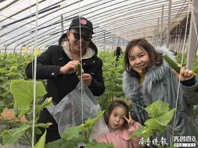 彩货、彩宴、彩摘、彩乐、彩游……济阳区推出彩年“贺年游大餐”