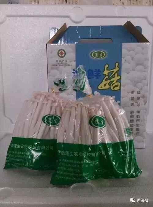 十一长假何必东奔西跑 金秋济阳八大旅游休闲区让您陶醉！