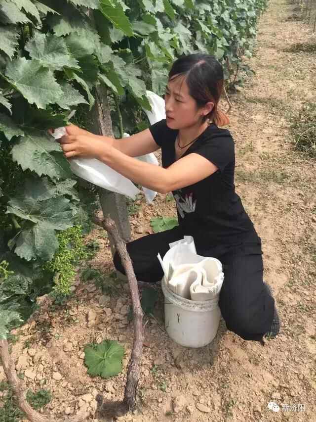 十一长假何必东奔西跑 金秋济阳八大旅游休闲区让您陶醉！