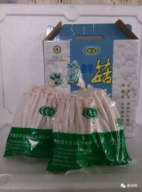 十一长假何必东奔西跑 金秋济阳八大旅游休闲区让您陶醉！