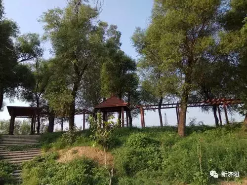 十一长假何必东奔西跑 金秋济阳八大旅游休闲区让您陶醉！
