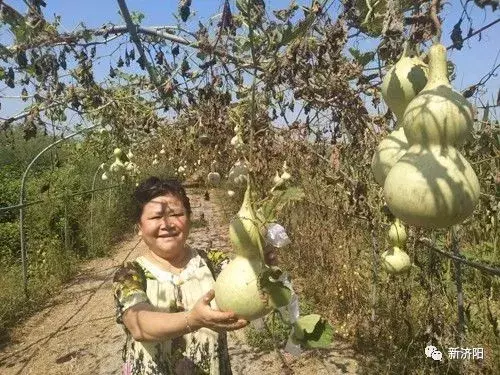 十一长假何必东奔西跑 金秋济阳八大旅游休闲区让您陶醉！