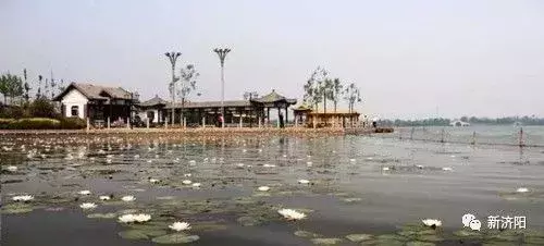 十一长假何必东奔西跑 金秋济阳八大旅游休闲区让您陶醉！