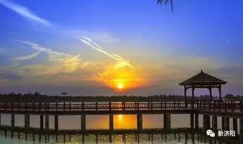 十一长假何必东奔西跑 金秋济阳八大旅游休闲区让您陶醉！
