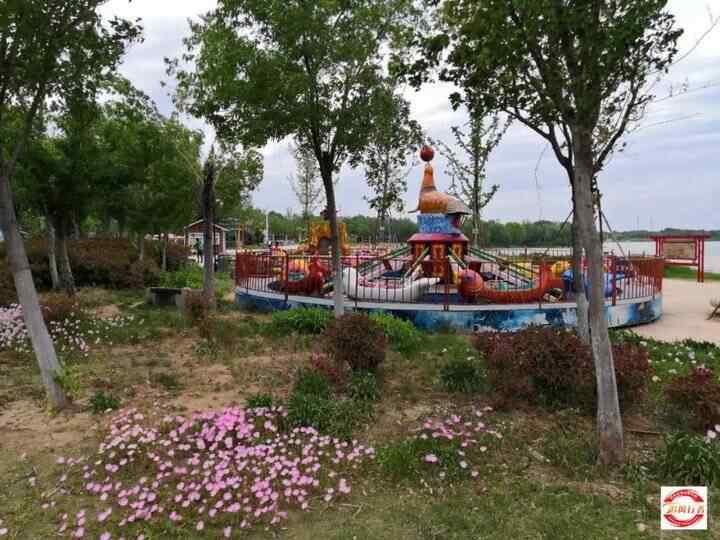 母亲节，自驾平阴赏花海、品美食（每车限2名母亲免费）