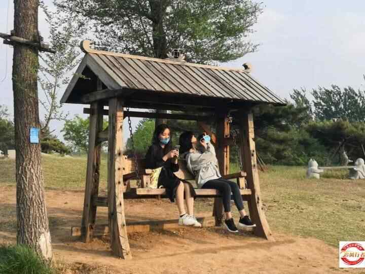 母亲节，自驾平阴赏花海、品美食（每车限2名母亲免费）