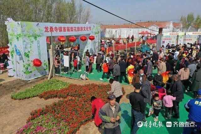 洁白的梨花、特色的小吃，商河梨花节上好热闹