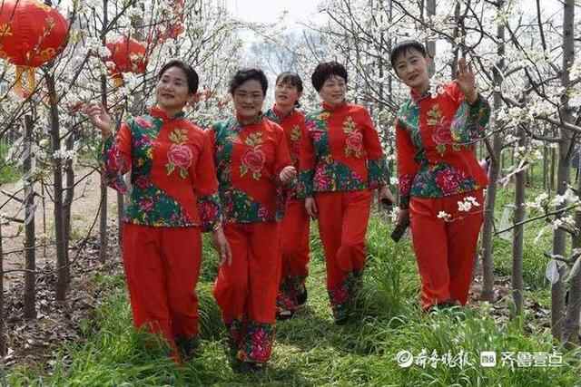 洁白的梨花、特色的小吃，商河梨花节上好热闹