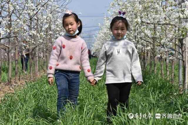 洁白的梨花、特色的小吃，商河梨花节上好热闹