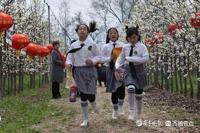 洁白的梨花、特色的小吃，商河梨花节上好热闹