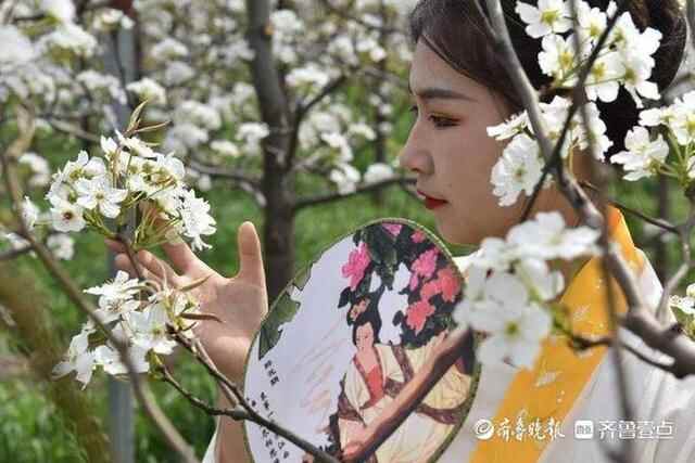 洁白的梨花、特色的小吃，商河梨花节上好热闹