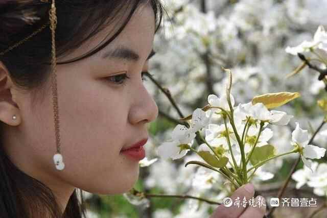 洁白的梨花、特色的小吃，商河梨花节上好热闹