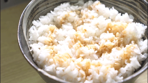 听说｜济南长清这家烧肉丼饭，今天免费啦