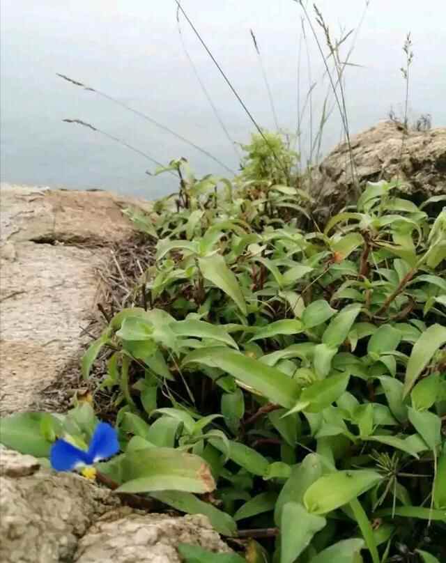 青岛黄岛区穷游攻略：从金沙滩到琅琊港，沿海天然景观全部免费