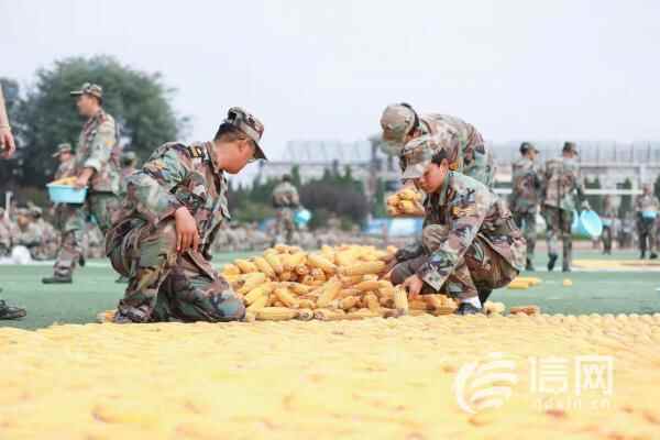 国庆将至 莱西高校用数万根玉米摆出巨幅文字为祖国庆生