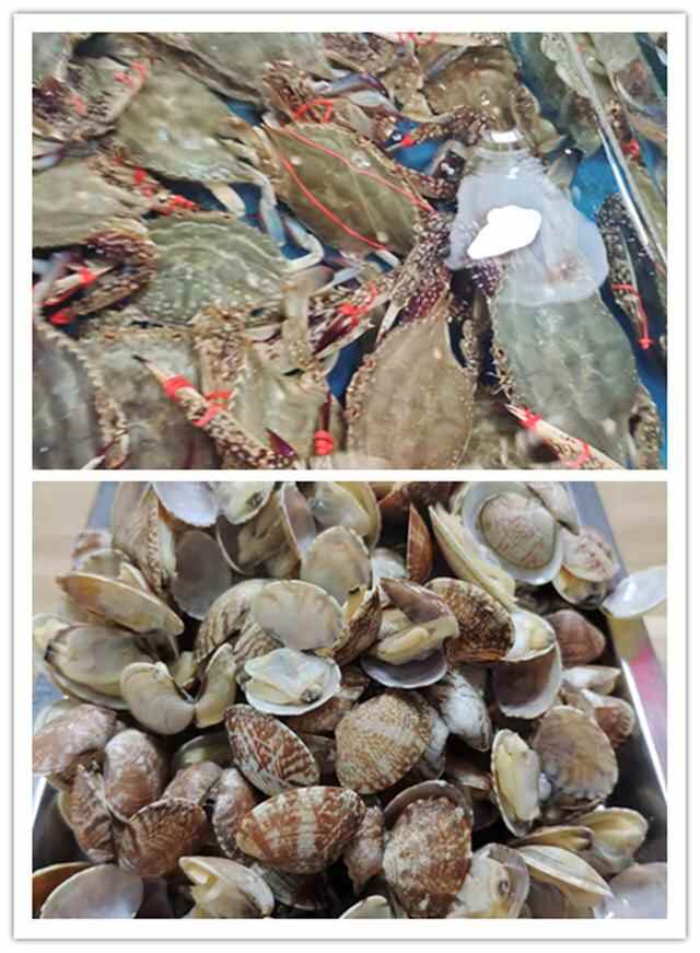 听了网友总结的“青岛四大广告”，崂山茶表示很委屈